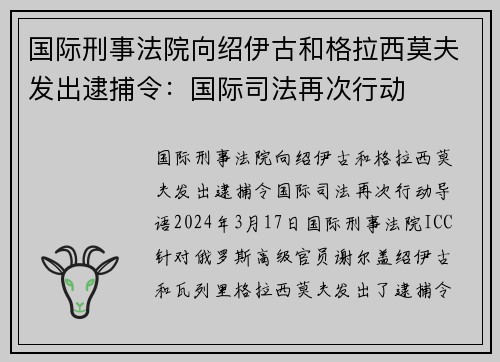 国际刑事法院向绍伊古和格拉西莫夫发出逮捕令：国际司法再次行动