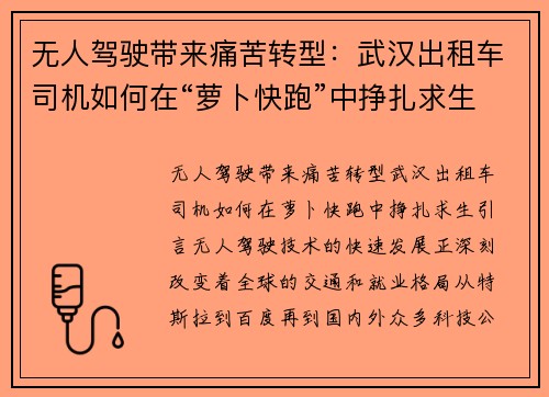 无人驾驶带来痛苦转型：武汉出租车司机如何在“萝卜快跑”中挣扎求生